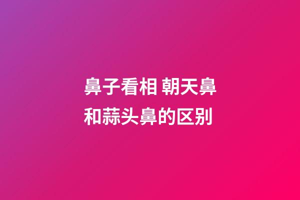 鼻子看相 朝天鼻和蒜头鼻的区别